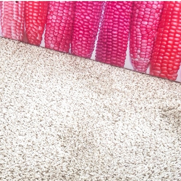 Kamagraph Skate Deck- The Corn of Love - Picture 7 of 9